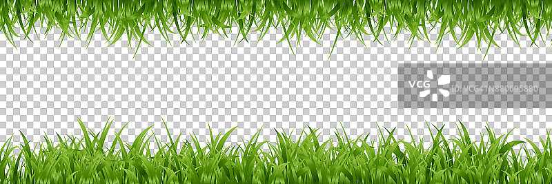 矢量现实孤立的绿草边界装饰和覆盖在透明的背景上。图片素材