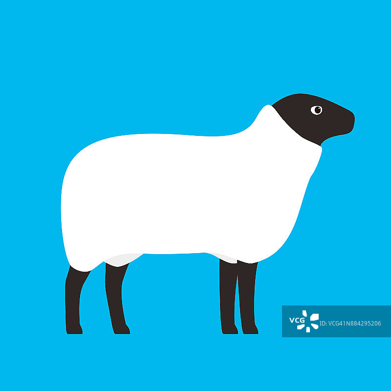 羊，农场动物图标，矢量插图图片素材