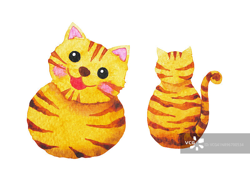可爱的猫手绘水彩画图片素材
