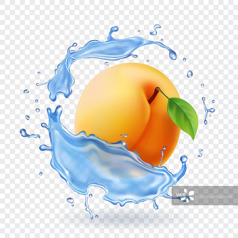 杏真实感水喷溅矢量插图图片素材
