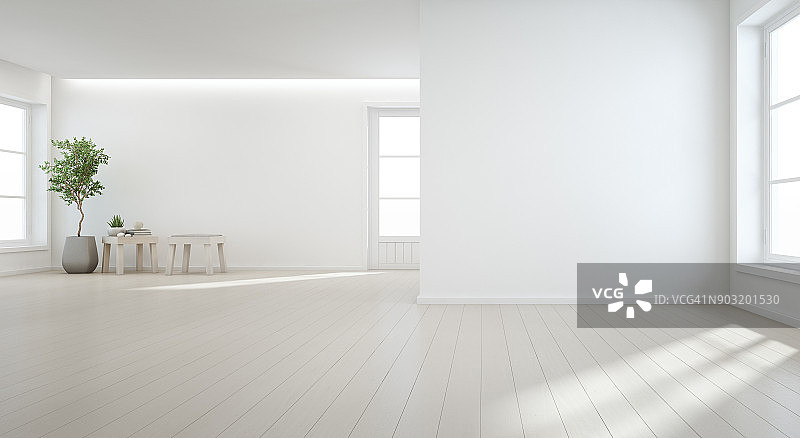 现代新住宅大房间白色背景木地板上的室内植物，空厅或自然光工作室的复古门窗图片素材