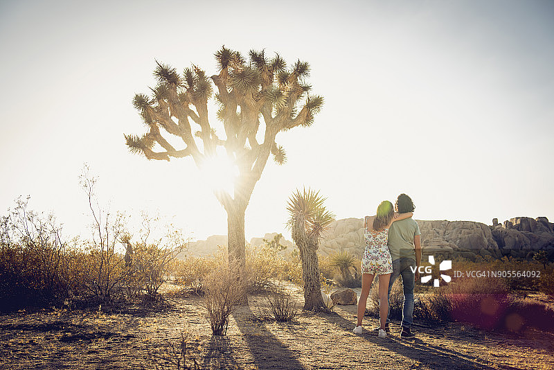 一对西班牙夫妇站在沙漠的树旁图片素材