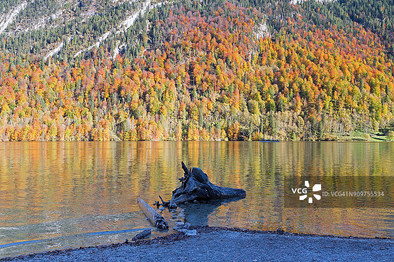 田园诗般的秋景，枝叶茂盛，落叶乔木，湖面映照四周群山图片素材