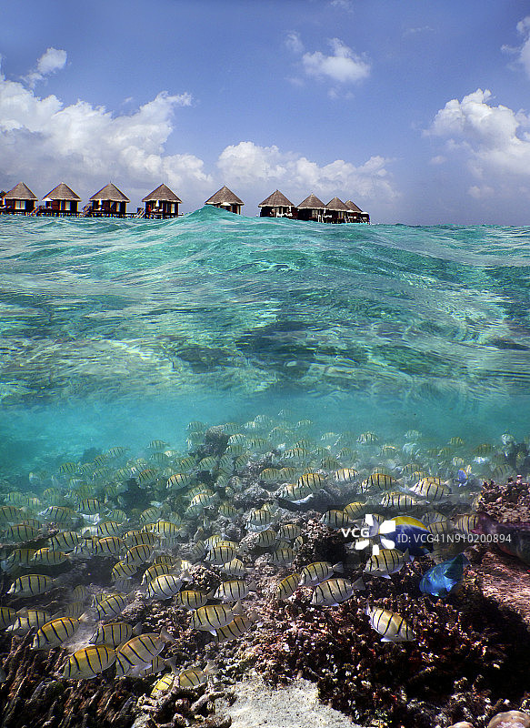 上面和水下的马尔代夫岛Thulhagiri图片素材