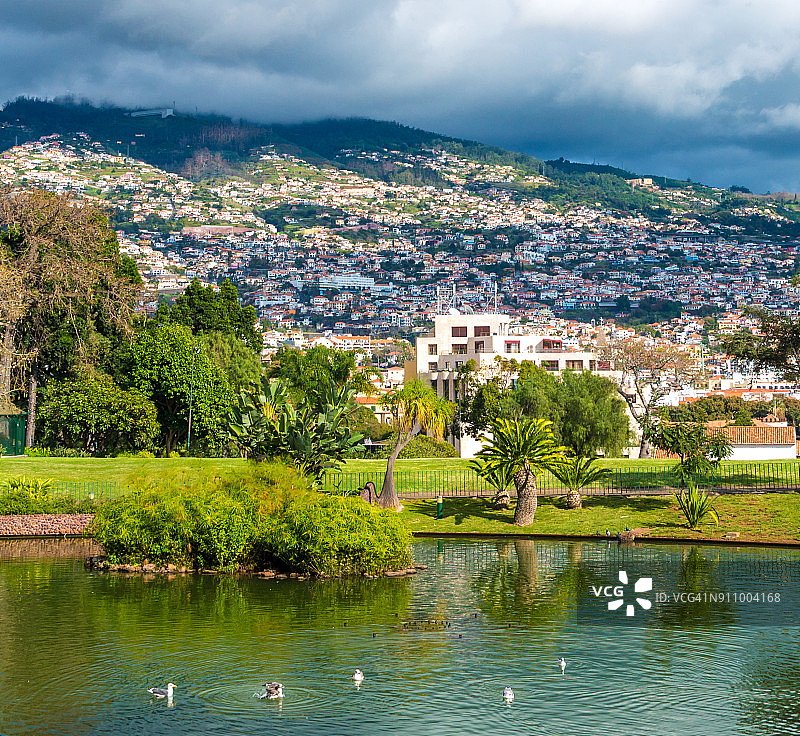 芬查尔-马德拉，葡萄牙-芬查尔城市公园，在山上可以看到城市图片素材