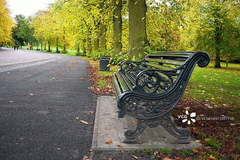 格林威治公园大道上的长椅上种着秋天的酸橙树图片素材