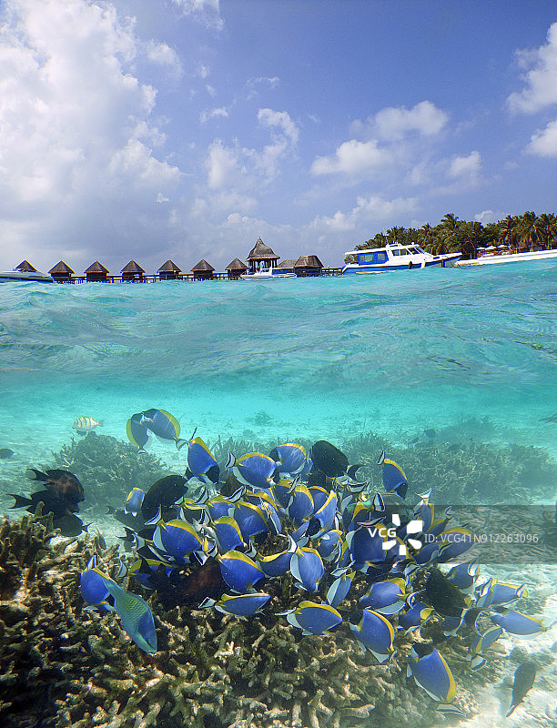 上面和水下的马尔代夫礁湖图片素材