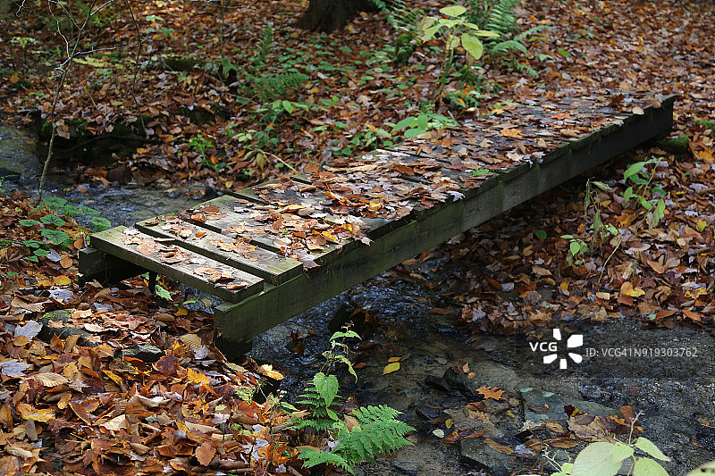 乡村木桥上的小溪图片素材