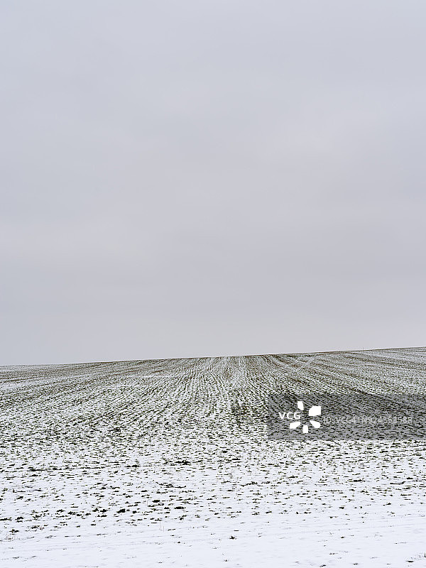 乡村景色，空旷的冬日田野图片素材