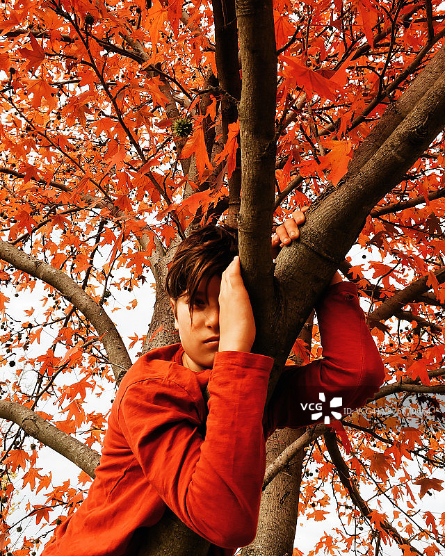 男孩坐在秋天的树上图片素材