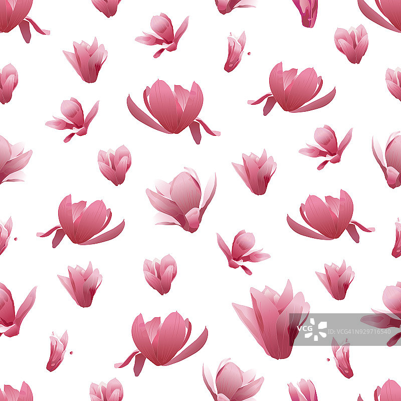 矢量无缝模式的木兰花图片素材