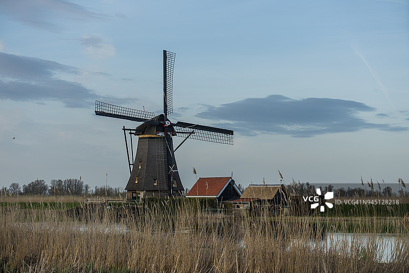 荷兰肯德代克的米尔斯图片素材