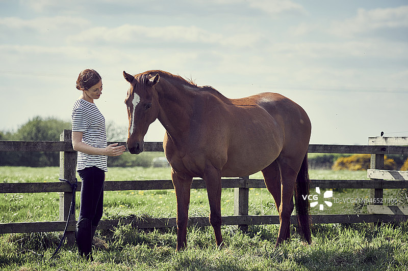 一个年轻女子和她的马站在围场里图片素材