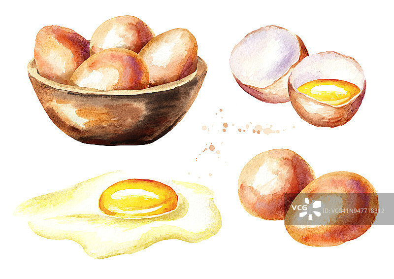 鸡蛋。水彩手绘插图孤立的白色背景图片素材