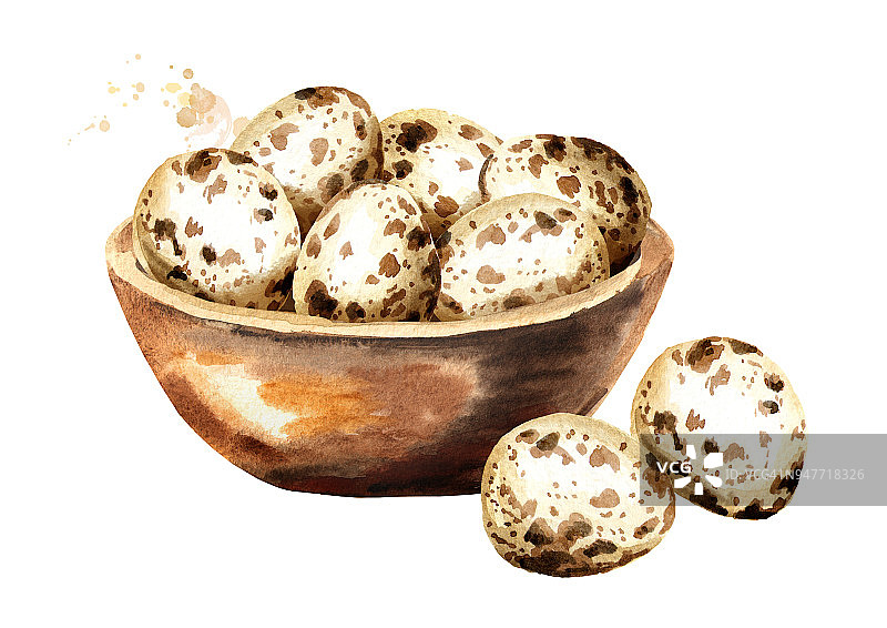 鹌鹑蛋放在木碗里。水彩手绘插图孤立的白色背景图片素材