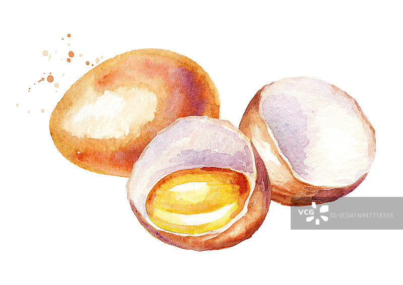 鸡蛋成分。水彩手绘插图孤立的白色背景图片素材