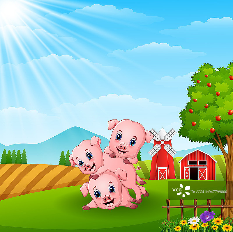 三只小猪在农场里玩图片素材