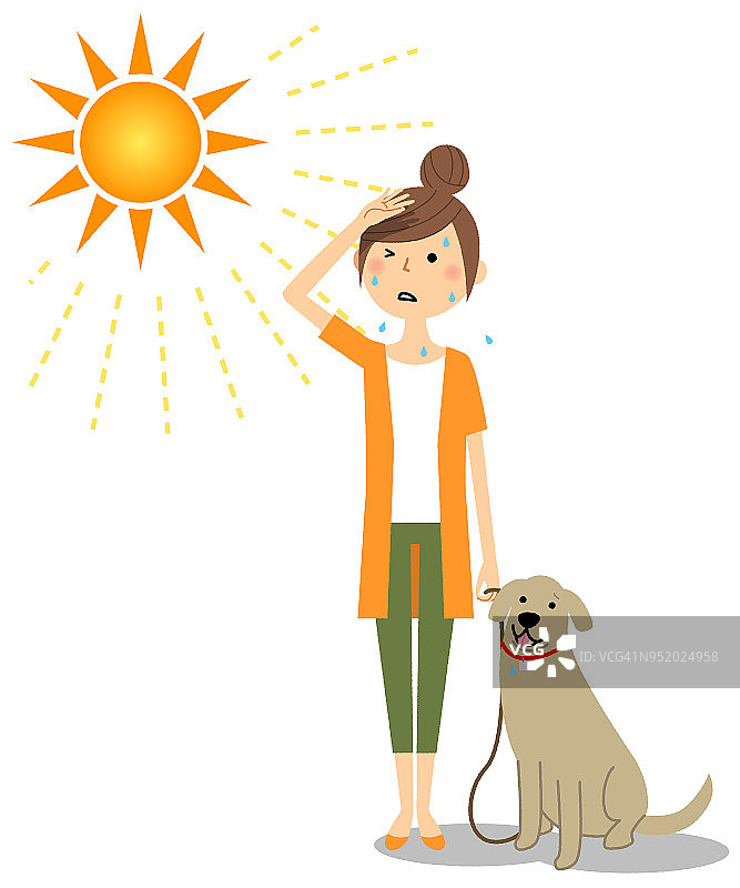一个在大热天遛狗的年轻女人图片素材