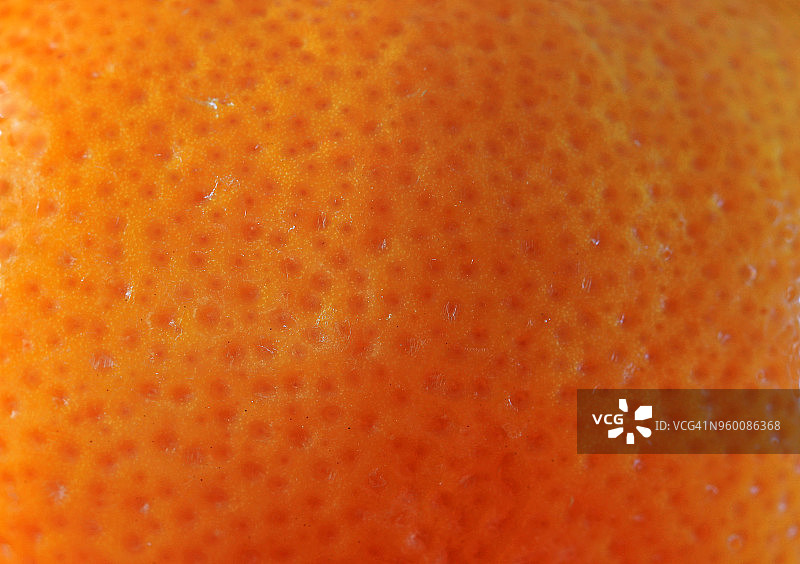 特写的皮肤或柑橘皮(柑橘网)的水果图片素材