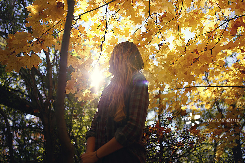 低角度的女人站在秋天的树在公园图片素材