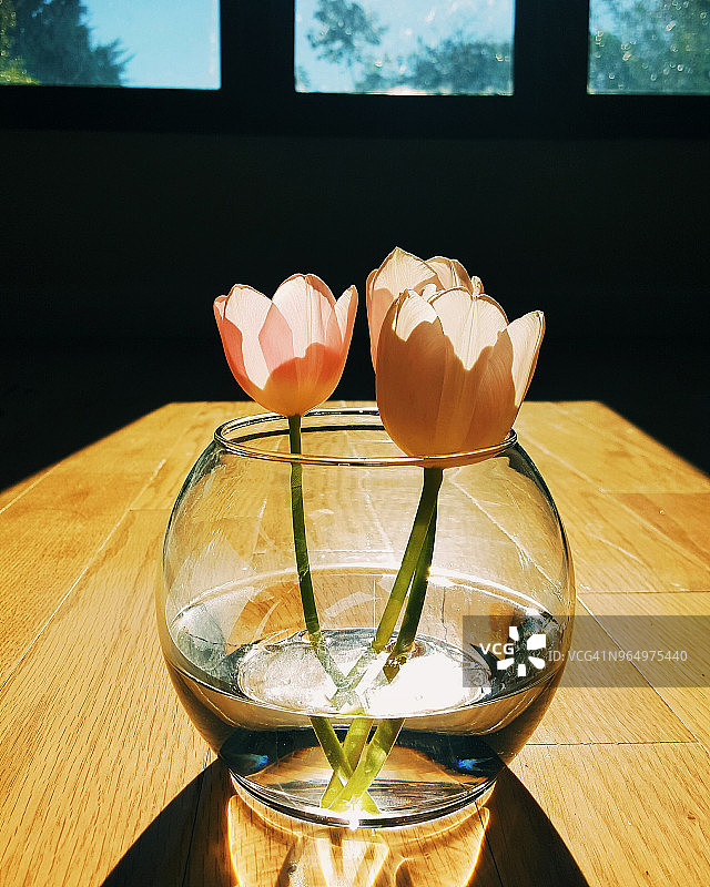 木桌上花瓶里的郁金香图片素材
