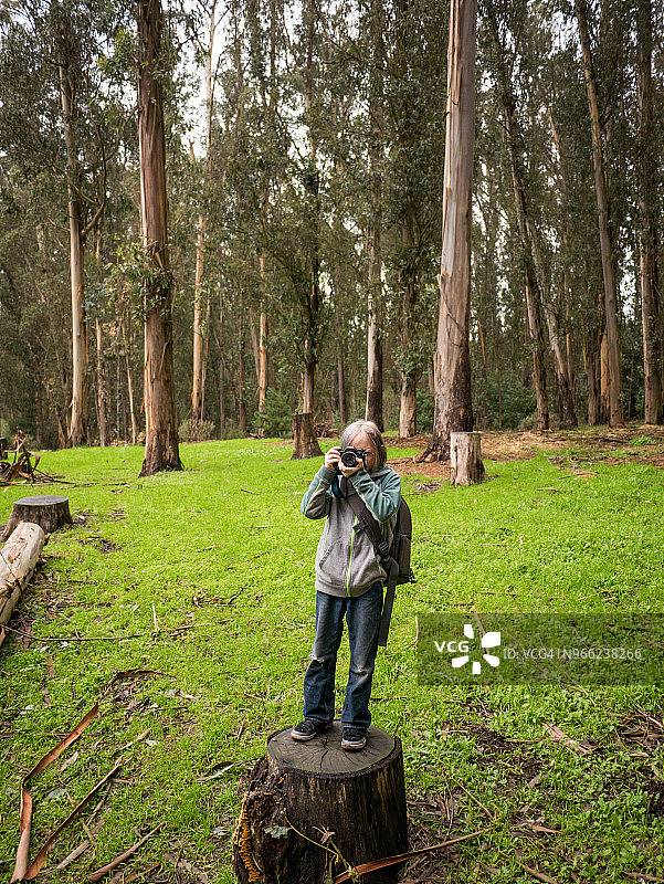小男孩站在蒂尔登地区公园的树桩上拍照图片素材