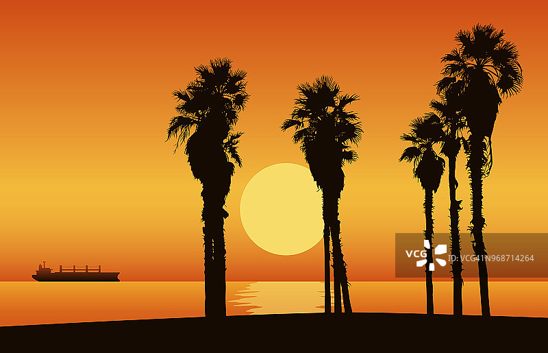 日落海滩，棕榈树的剪影。矢量插图。图片素材