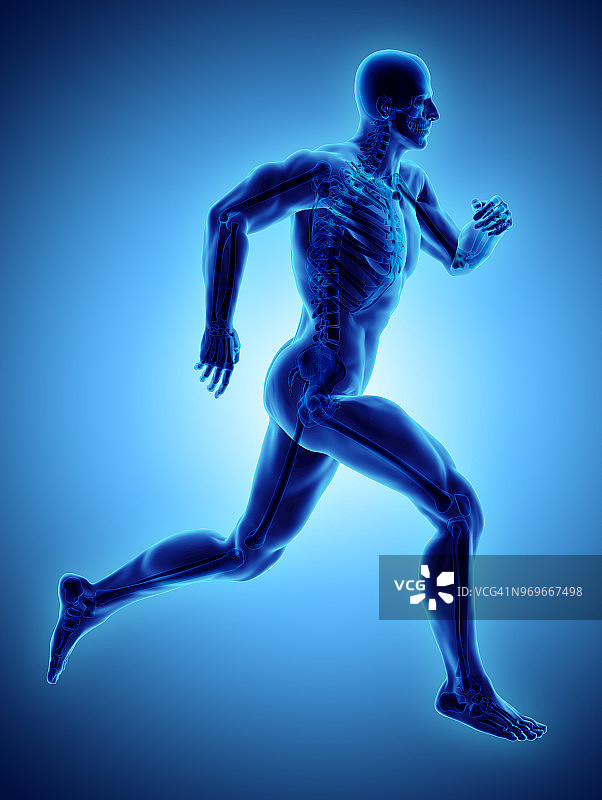 3d插图男性跑步姿势与x射线骨骼关节，医学概念。图片素材