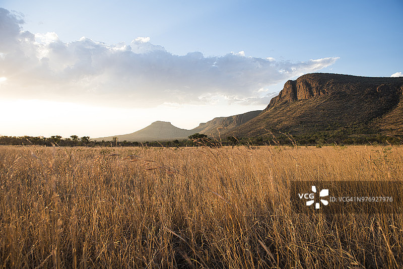 南非林波波，马拉塔巴私人禁猎区，草原和日落时的山脉图片素材
