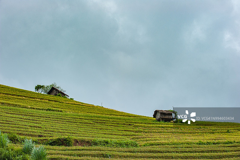 越南萨帕的稻田和农民的房子图片素材