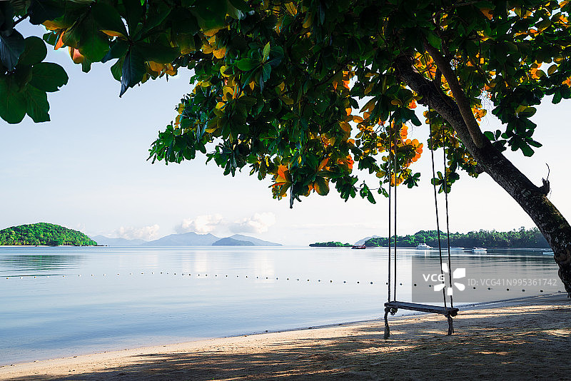 在海滩上的树下木制秋千，风景优美的目的地岛，泰国图片素材