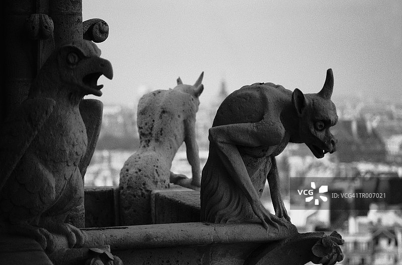 夜行神龙,巴黎圣母院图片素材