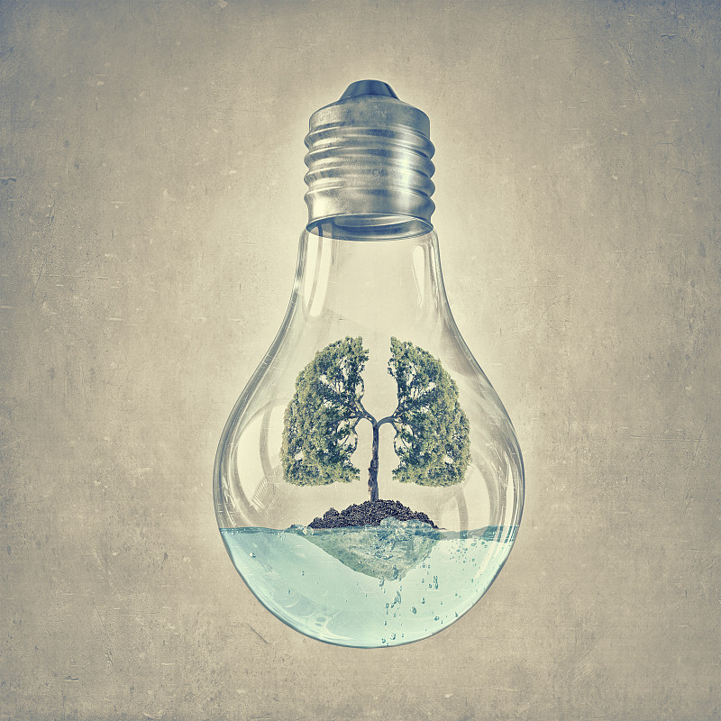 绿色能源的概念。里面长着绿树的玻璃灯泡图片素材