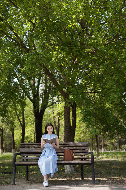 坐在公园里看书的年轻女大学生图片下载