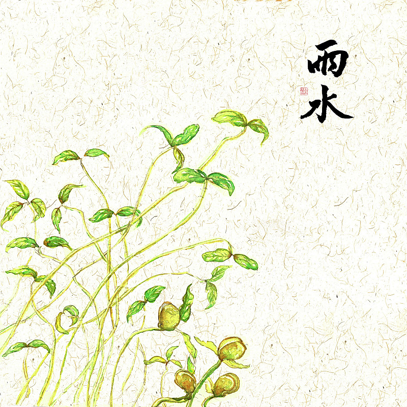 插画二十四节气果蔬系列之雨水豆芽图片