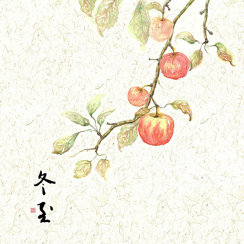 插画二十四节气果蔬系列之冬至苹果图片