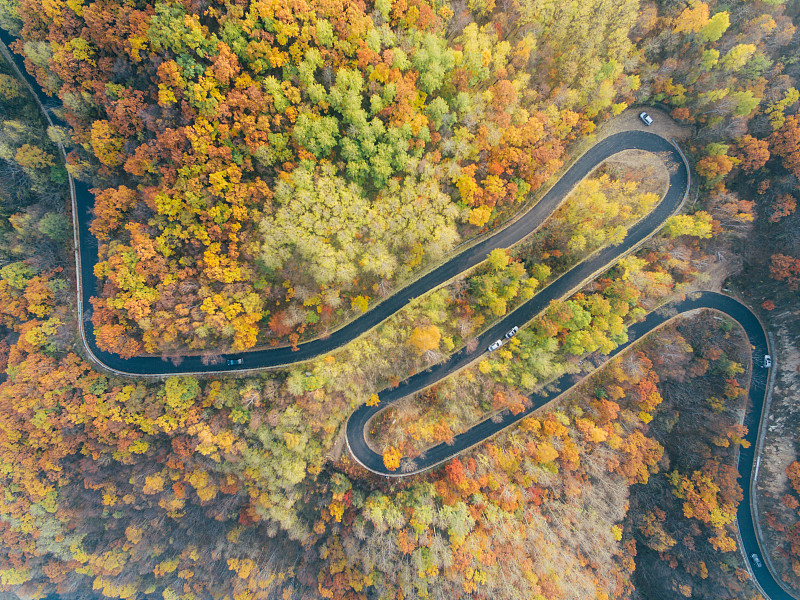 鸟瞰图蜿蜒的道路穿过秋天的森林图片素材