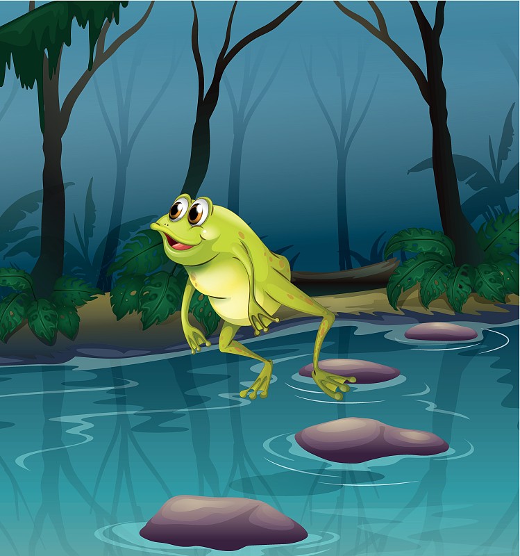 一只青蛙在森林里的池塘里跳图片