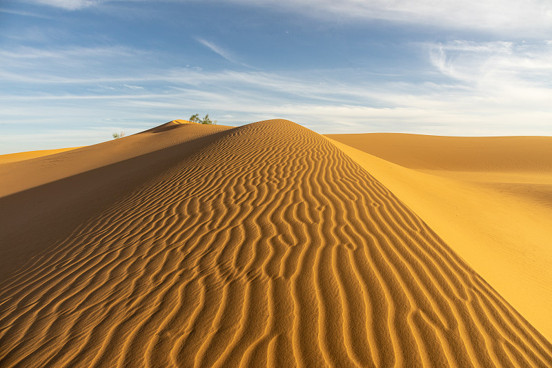 阳光下的沙漠纹理图片下载