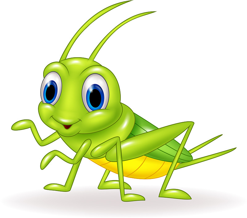卡通可爱的绿蟋蟀孤立图片