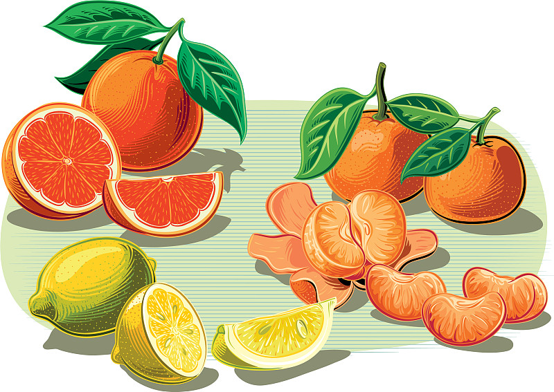 柑橘与柠檬啊插图图片