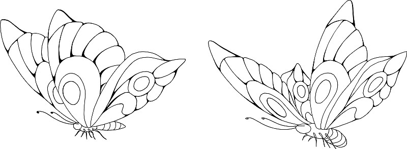 两只蝴蝶简笔画图片