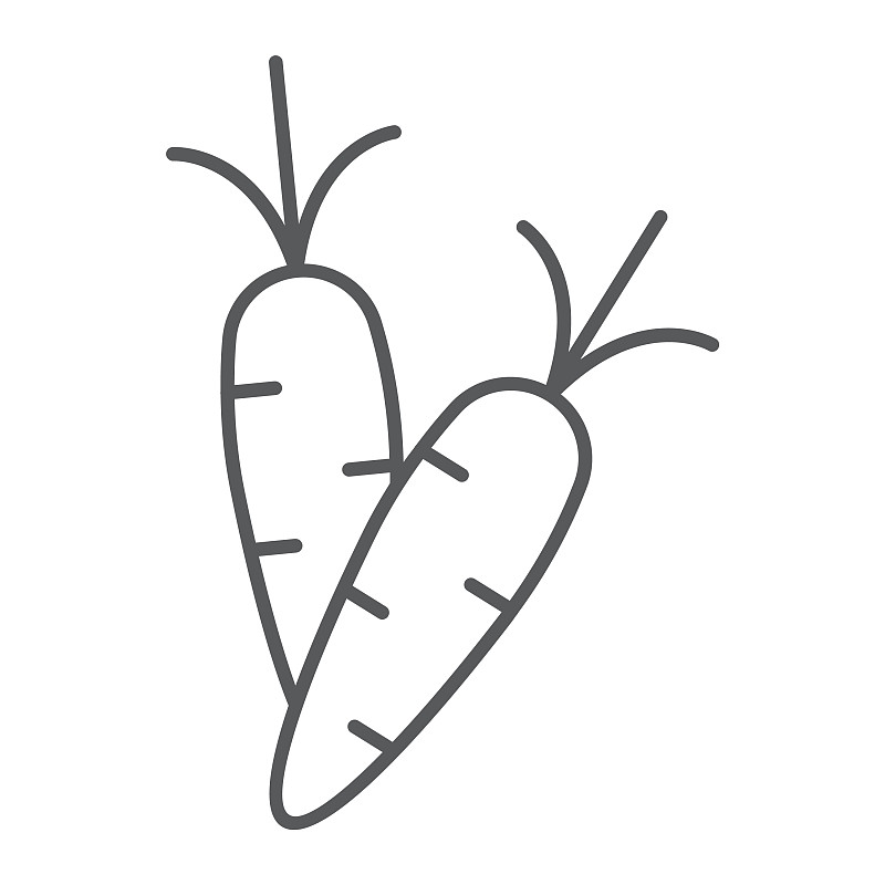 胡萝卜细线代表蔬菜和食物的根图片