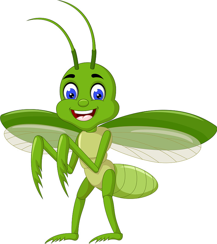 有趣的绿色螳螂卡通图片