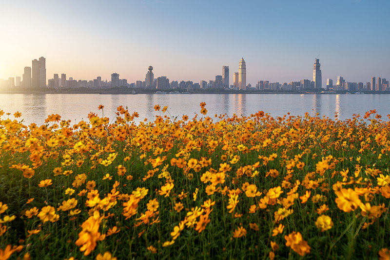 夕阳下武汉江滩边的一群花儿图片下载