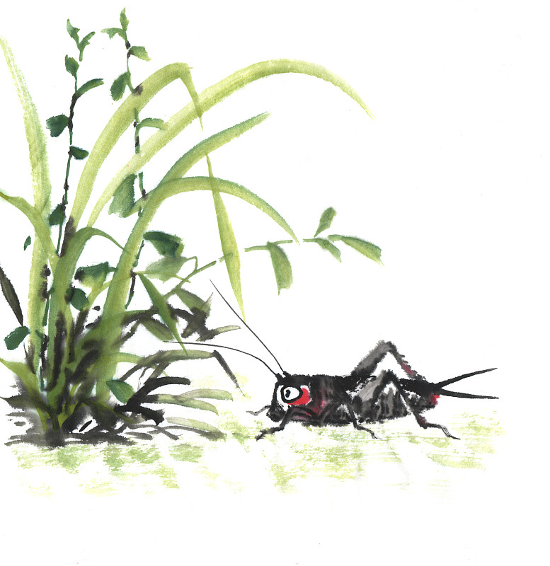 中国画水墨插画-草地上的蟋蟀下载