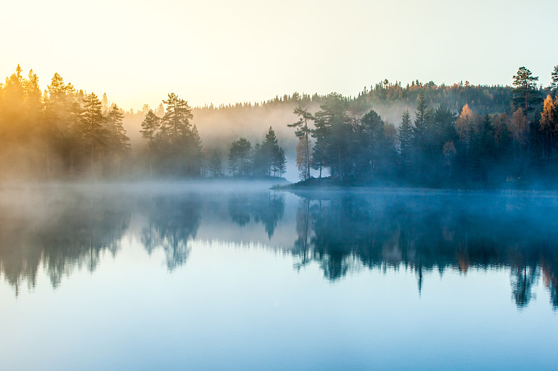森林，湖泊，晨雾和日出图片素材