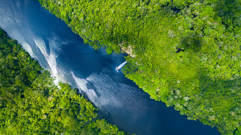 巴西的亚马逊河图片下载