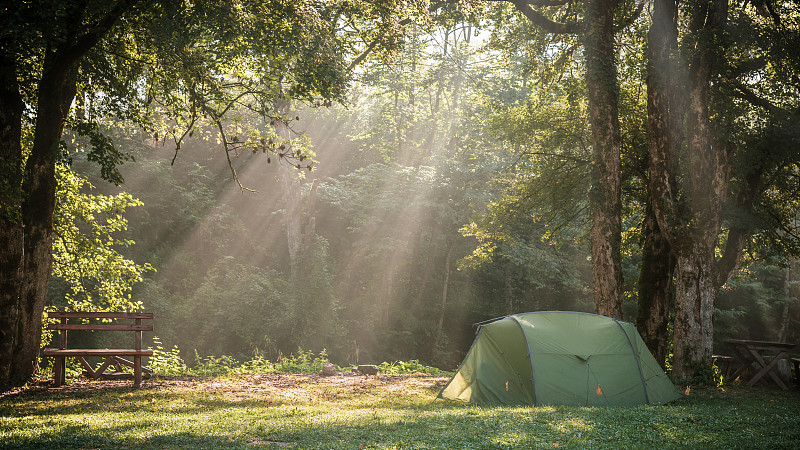 在波斯尼亚和黑塞哥维那的苏特耶斯卡国家公园露营时，晨光穿过树林图片下载