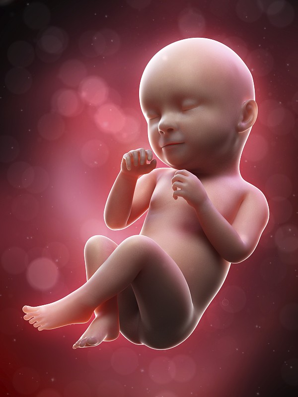 39周胎儿图片